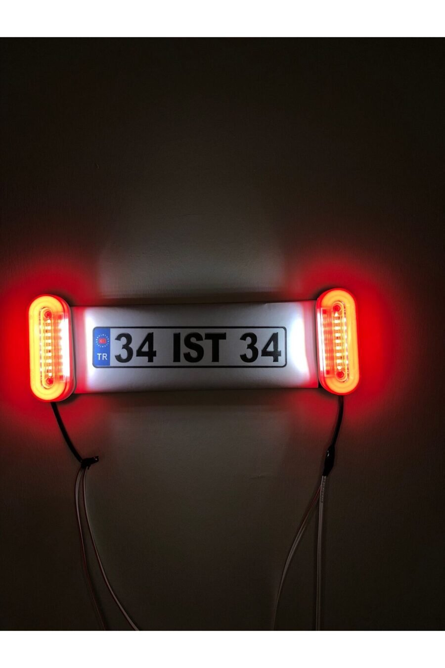 1_org_zoom-156.jpg Neon Plaka Lambası (12-24v)